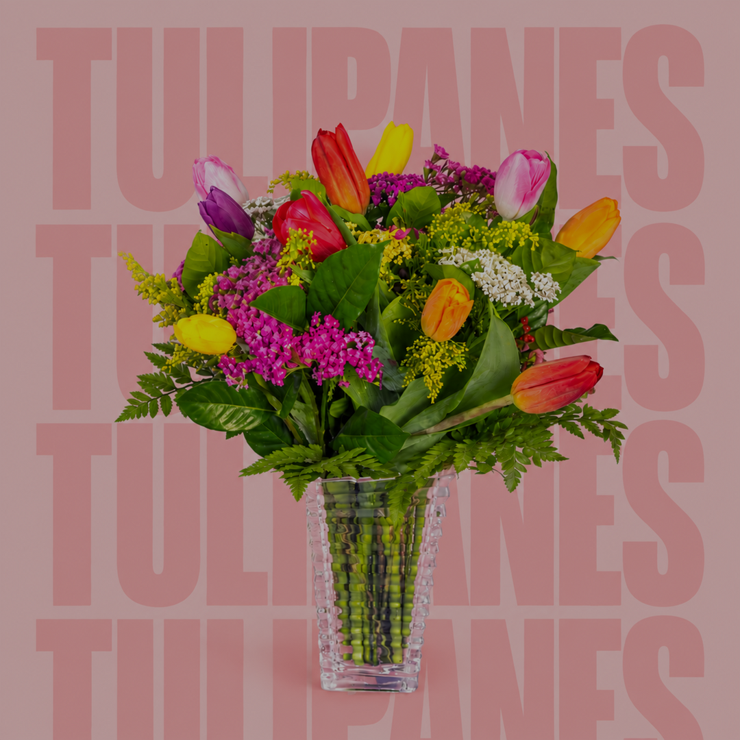 Tulipanes