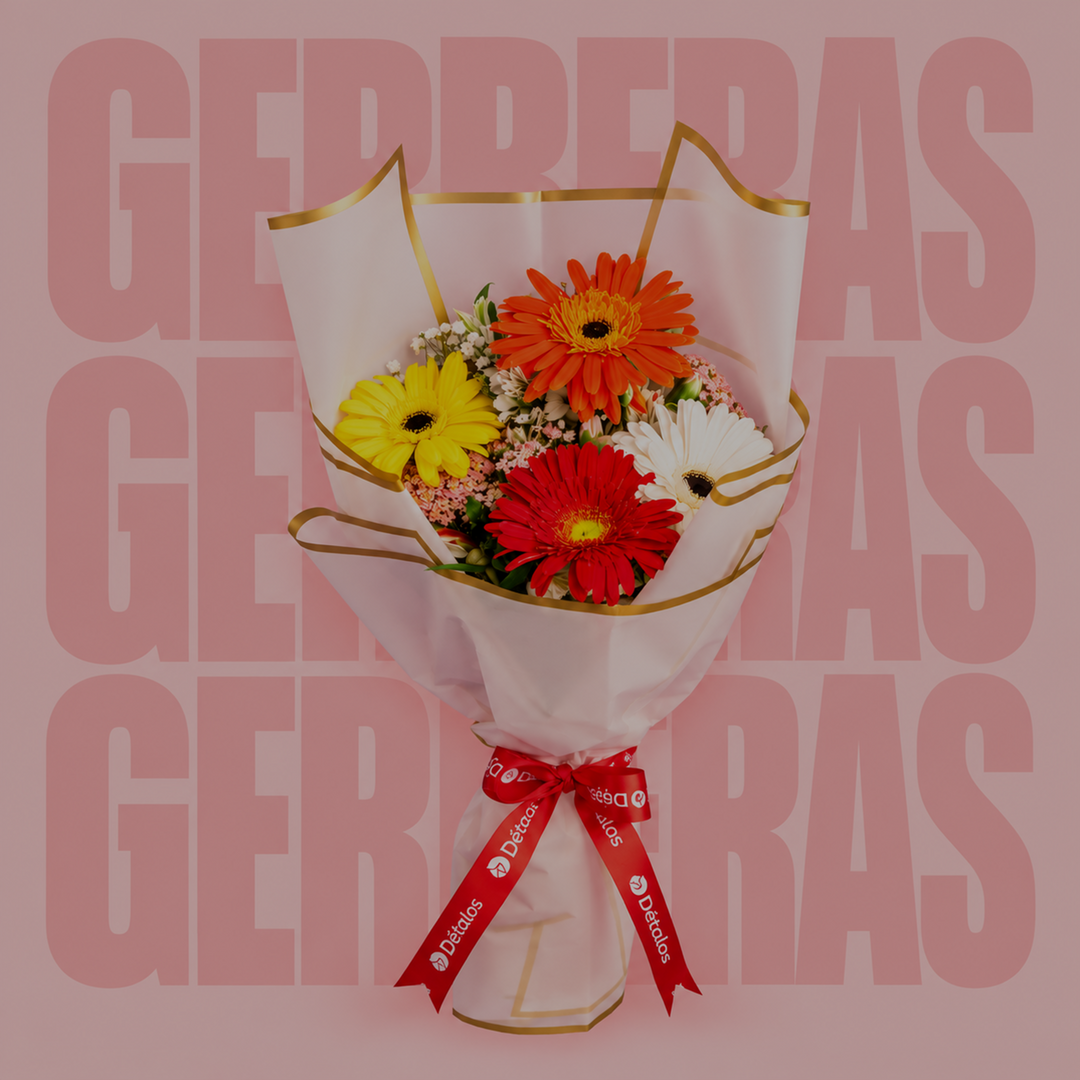 Gerberas