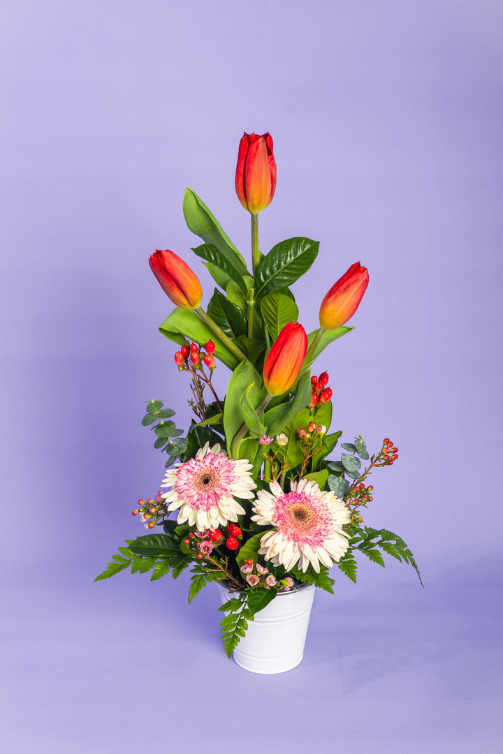 Arreglo de 4 tulipanes con 2 gerberas