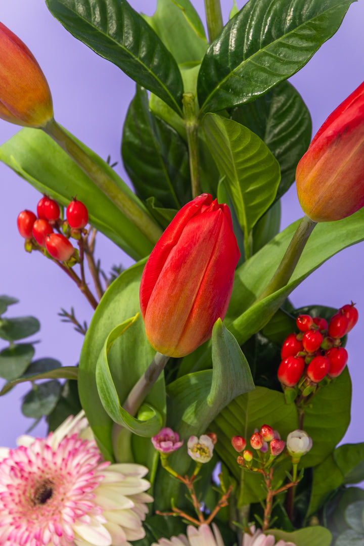 Arreglo de 4 tulipanes con 2 gerberas