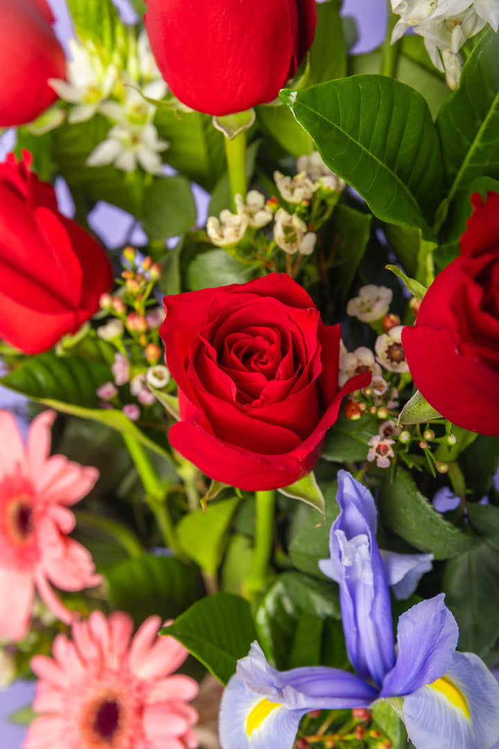 Arreglo de 7 rosas con 2 gerberas