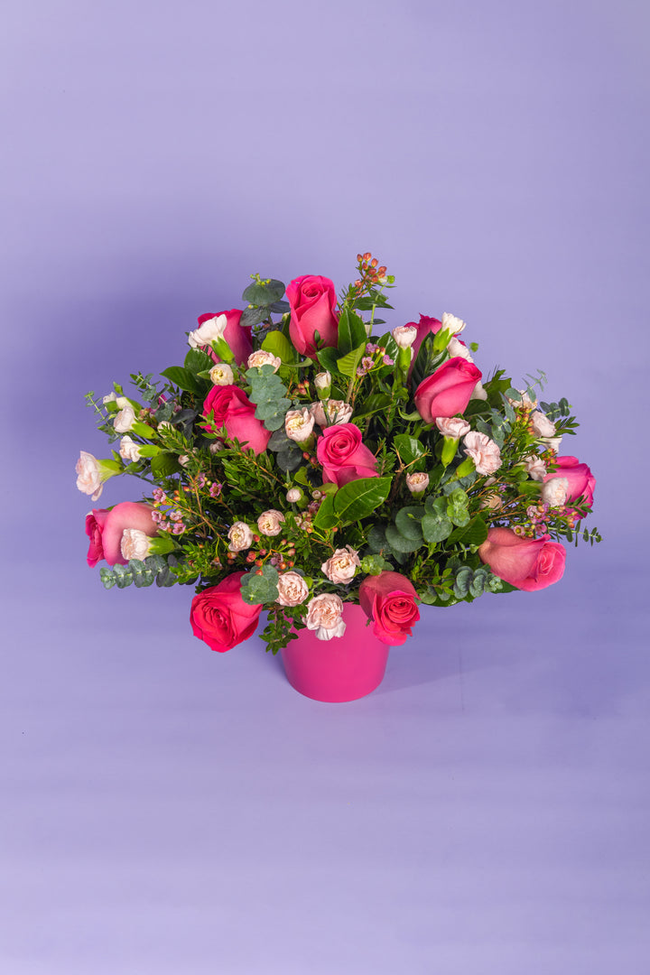 Box de 12 rosas fucsia
