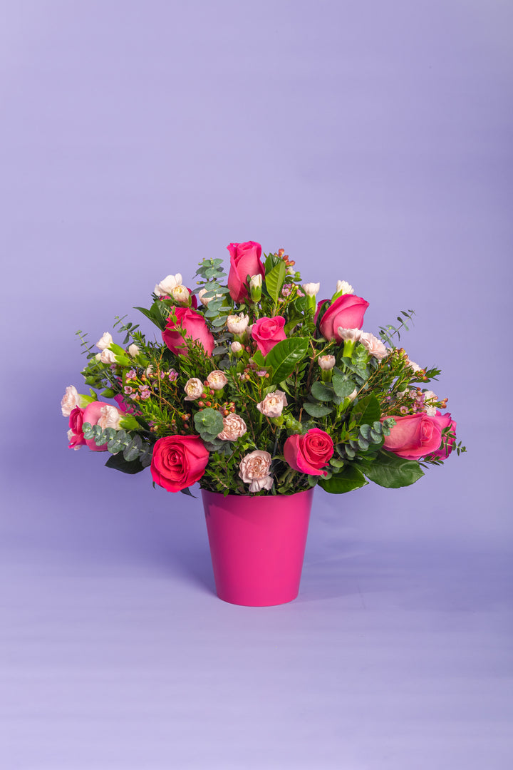 Box de 12 rosas fucsia