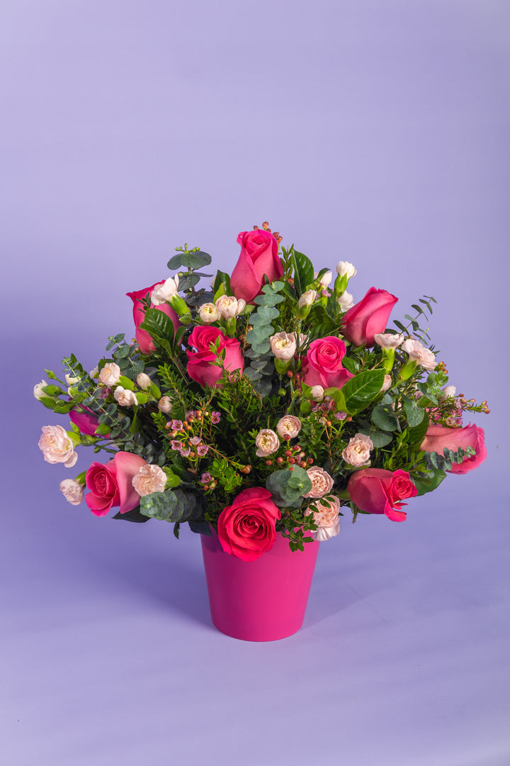 Box de 12 rosas fucsia