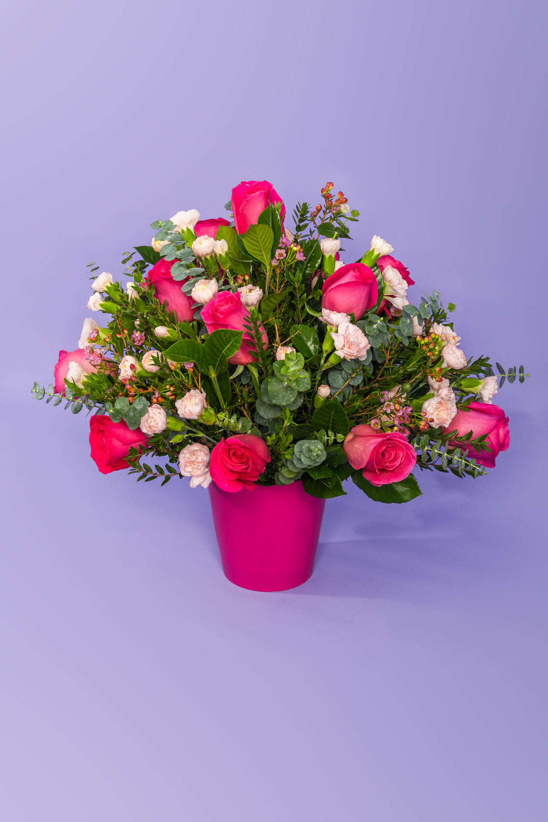 Box de 12 rosas fucsia