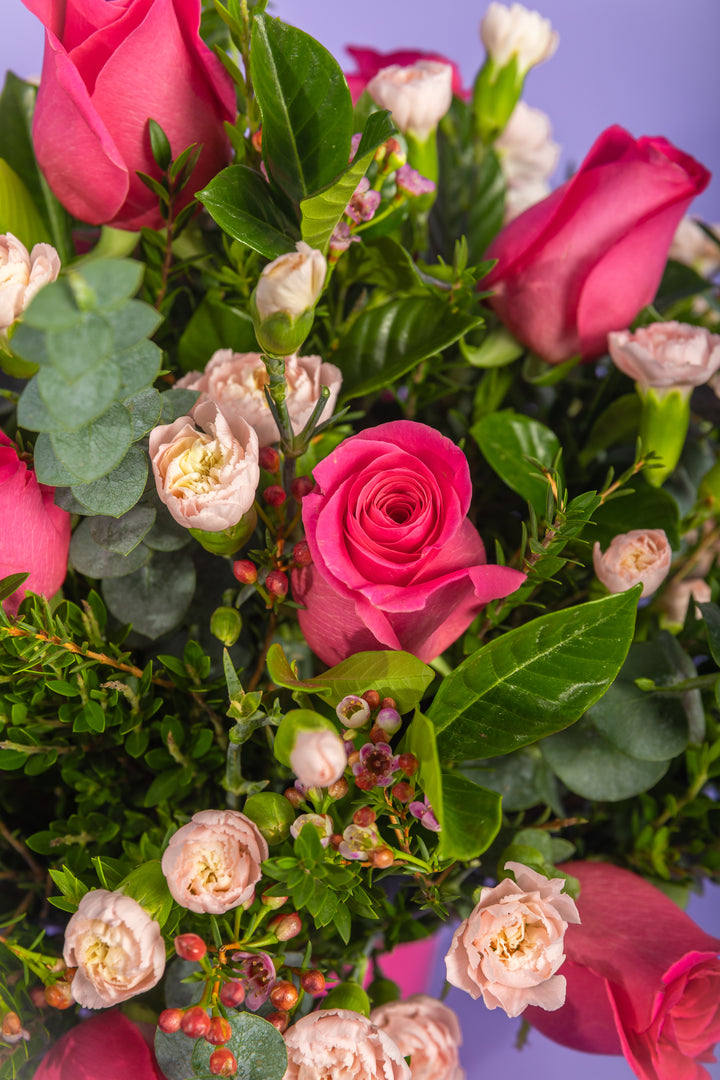 Box de 12 rosas fucsia