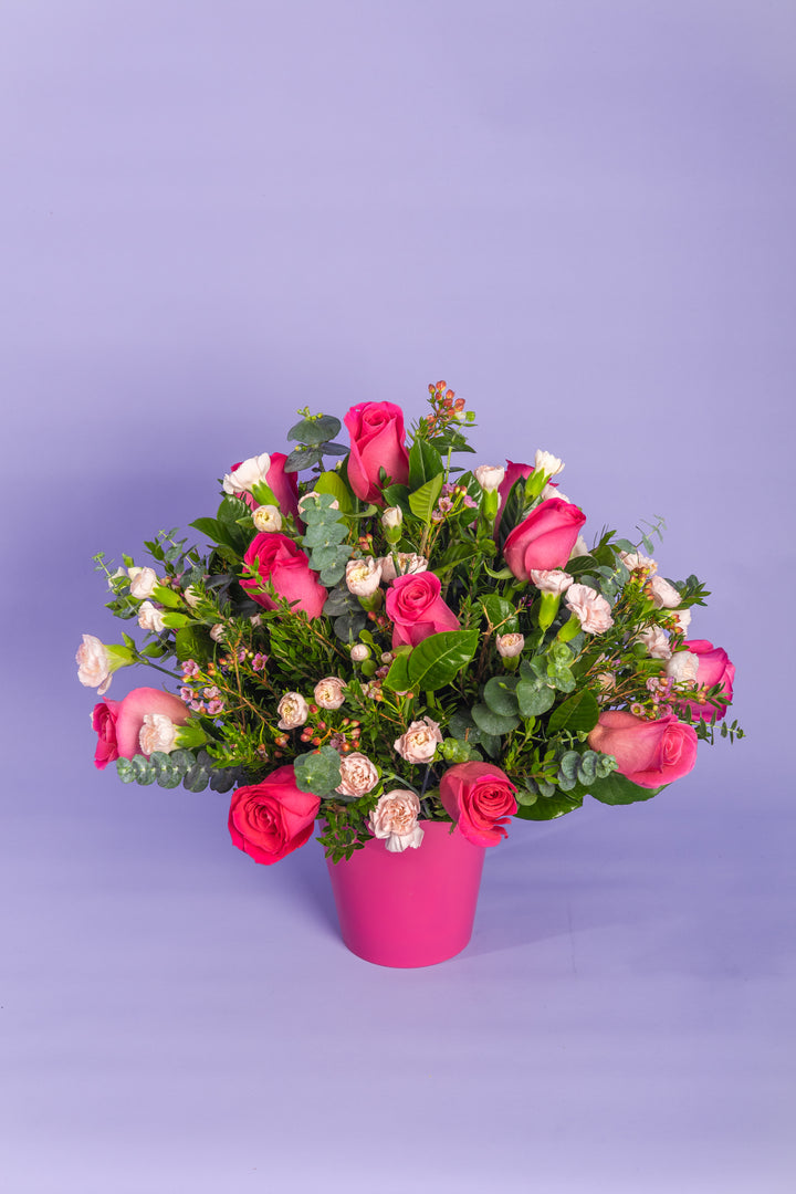 Box de 12 rosas fucsia