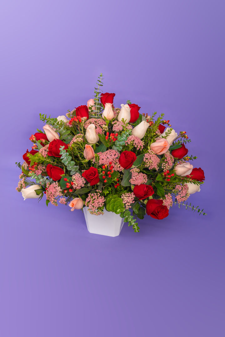 Box de 24 rosas rojas y rosadas