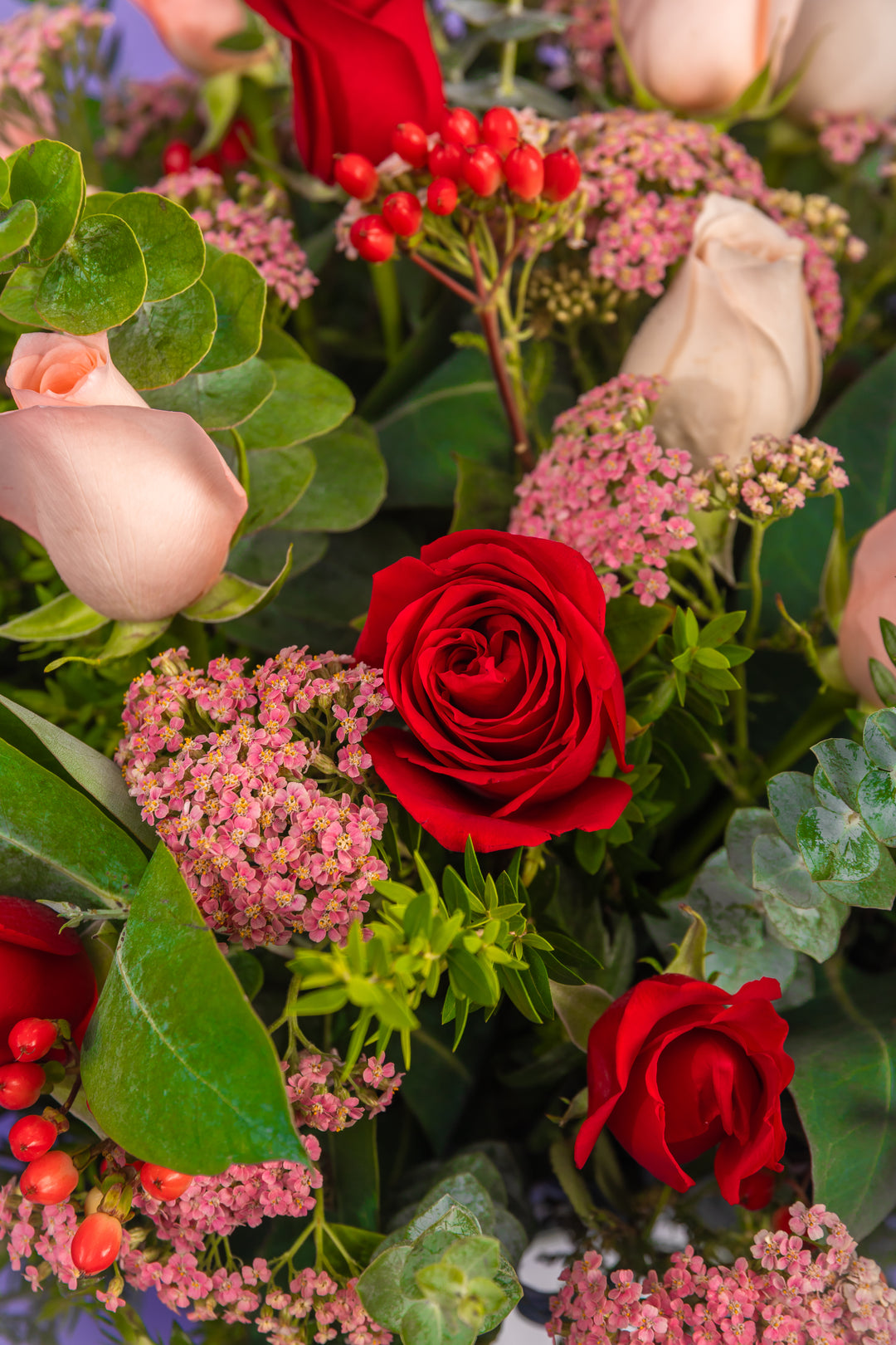 Box de 24 rosas rojas y rosadas