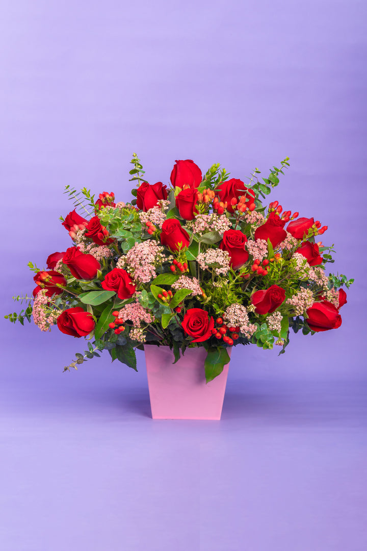 Box de 24 rosas rojas