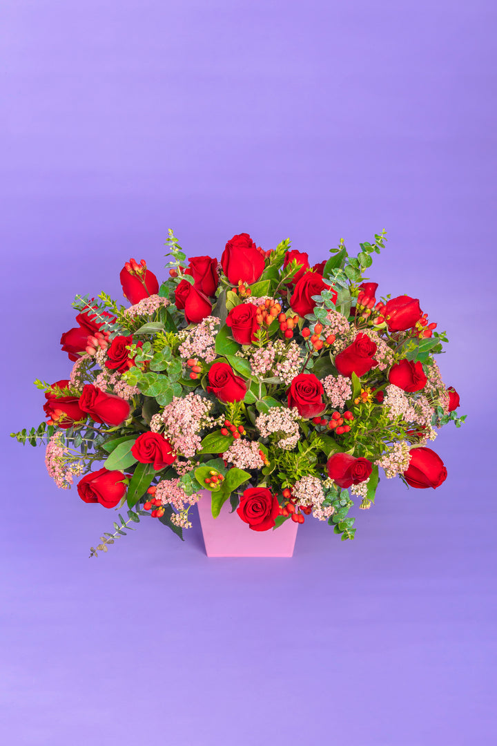 Box de 24 rosas rojas
