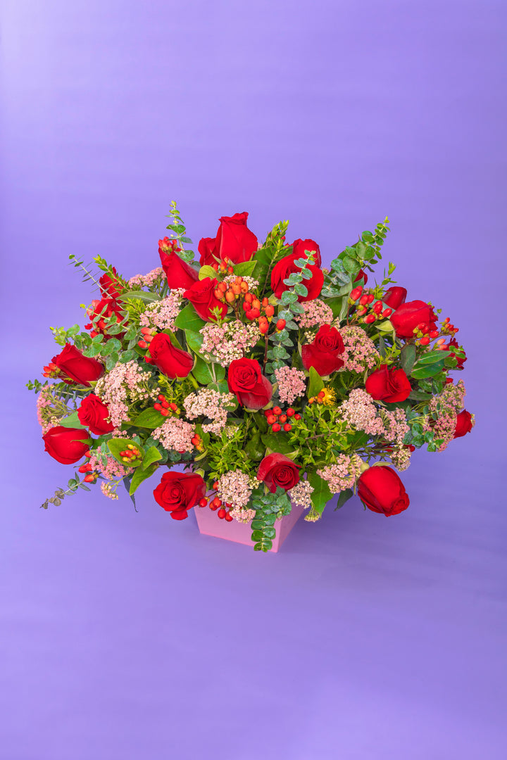 Box de 24 rosas rojas