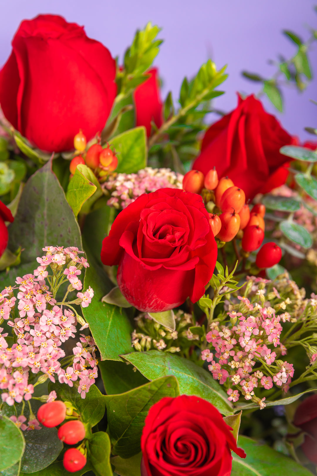Box de 24 rosas rojas