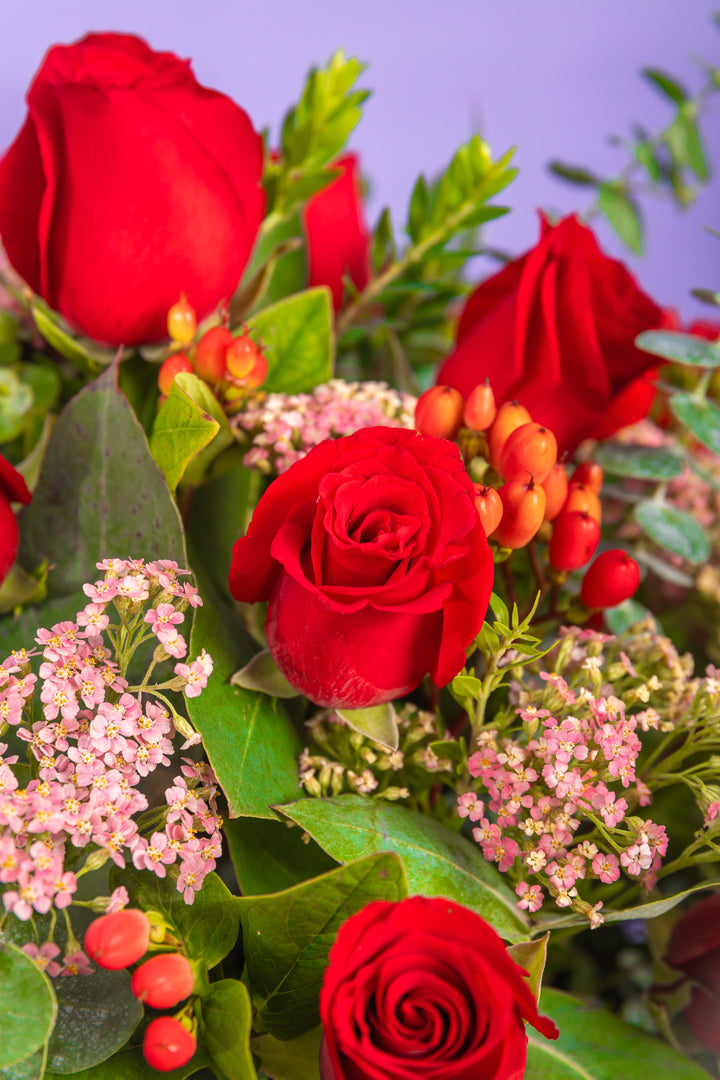 Box de 24 rosas rojas