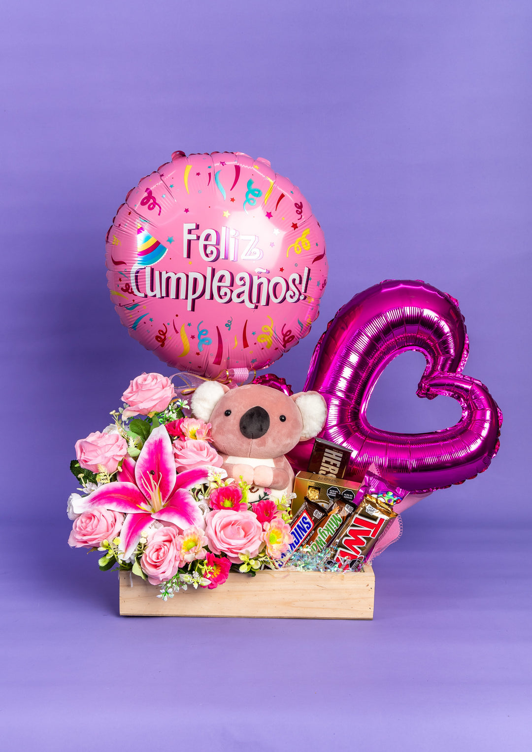 Gift Box Koala