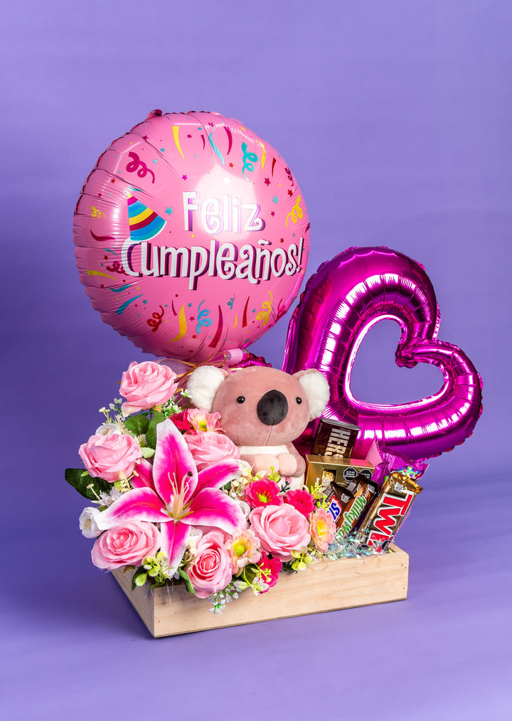 Gift Box Koala