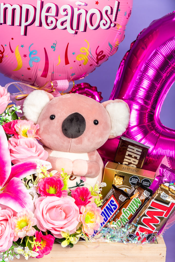 Gift Box Koala