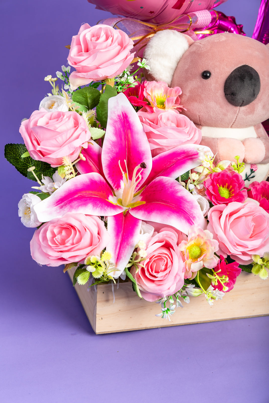 Gift Box Koala