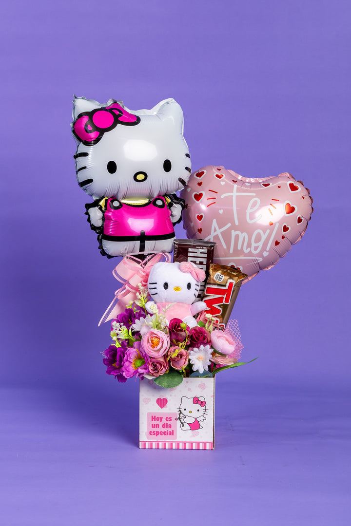 Box Hello Kitty