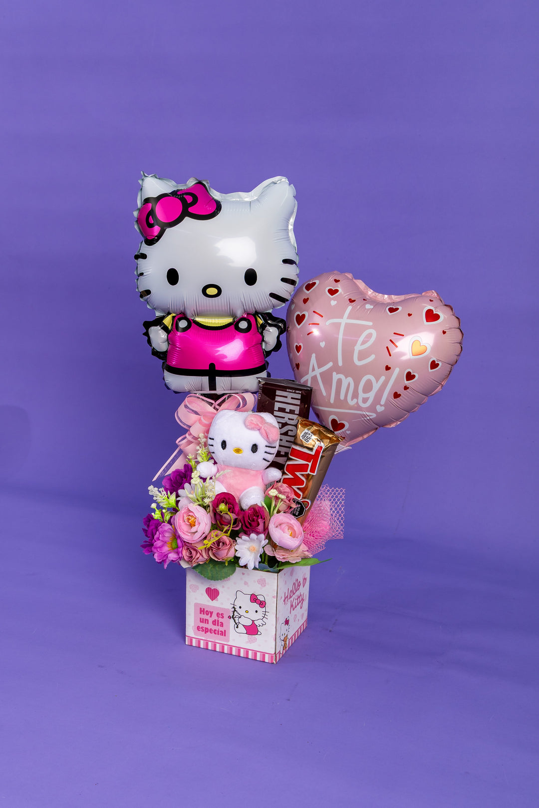 Box Hello Kitty