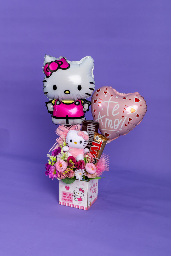 Box Hello Kitty