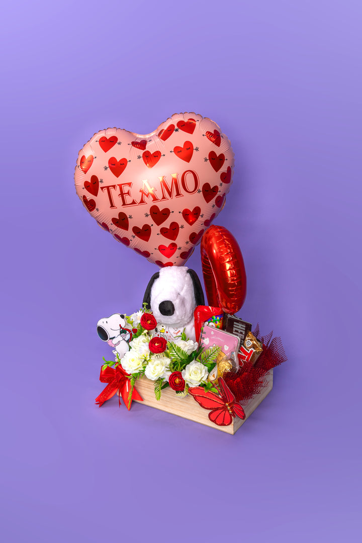 Gift Box Snoopy Love