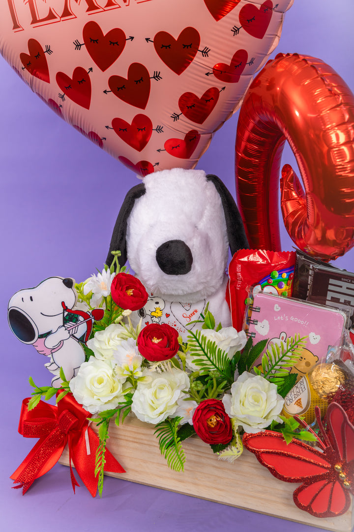 Gift Box Snoopy Love