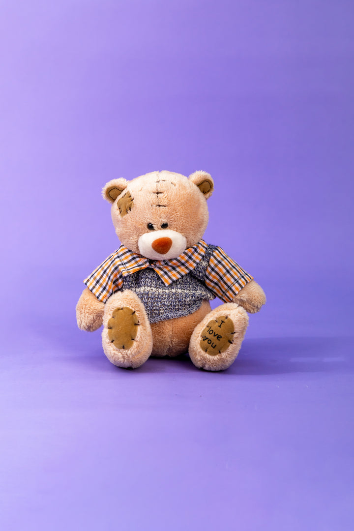 Osito con camisa