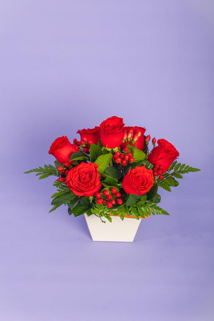 Mini box de 7 rosas rojas
