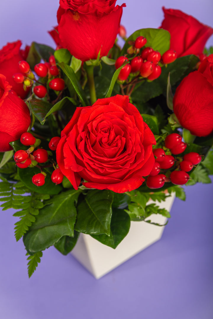 Mini box de 7 rosas rojas