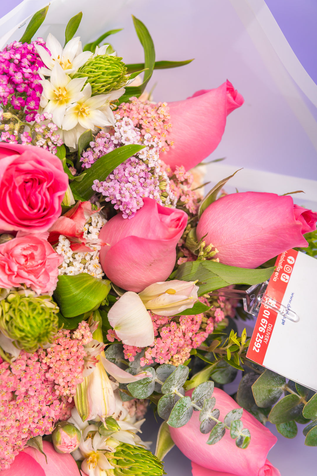 Ramo de 6 rosas rosadas